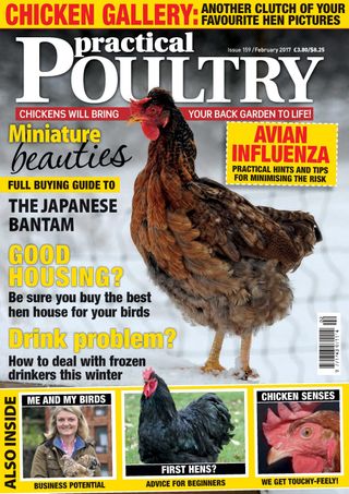 Practical Poultry