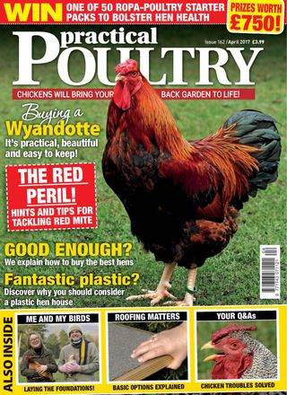 Practical Poultry