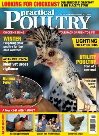 Practical Poultry
