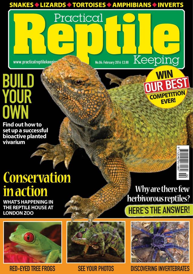 Practical Reptile Keeping