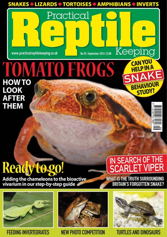 Practical Reptile Keeping