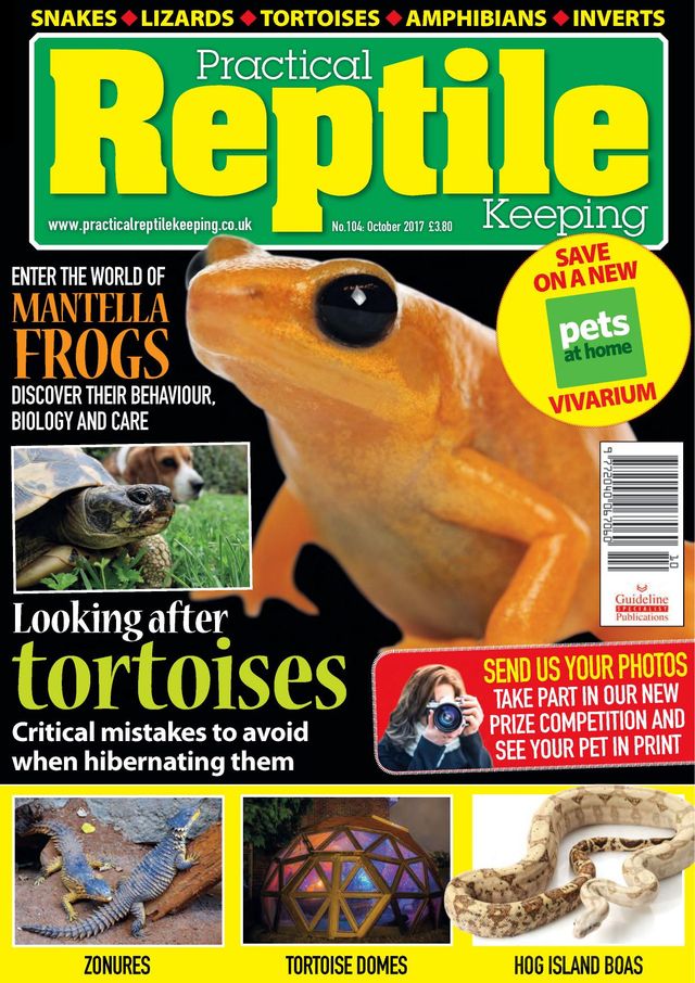 Practical Reptile Keeping