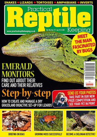 reptile keeping