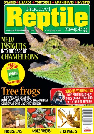 reptile keeping