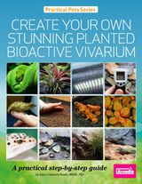 Create Your Own Stunning Planted Bioactive Vivarium