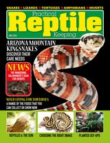Practical Reptile Keeping
