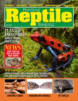 Practical Reptile Keeping