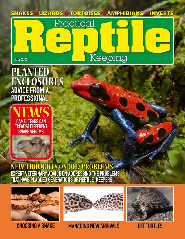 Practical Reptile Keeping