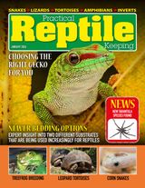 Practical Reptile Keeping