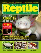 Practical Reptile Keeping Practical Reptile Keeping