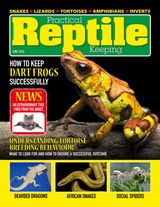 Practical Reptile Keeping