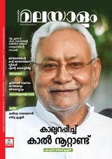 25 November 2025