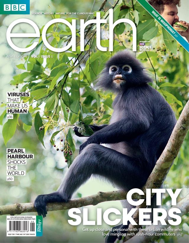 BBC Earth