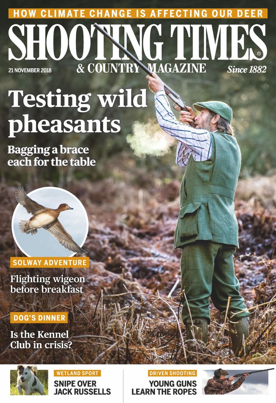 Shooting Times & CountryNovember 21, 2018 Magazine
