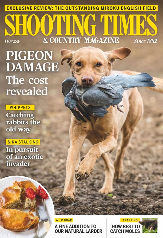 Shooting Times & Country