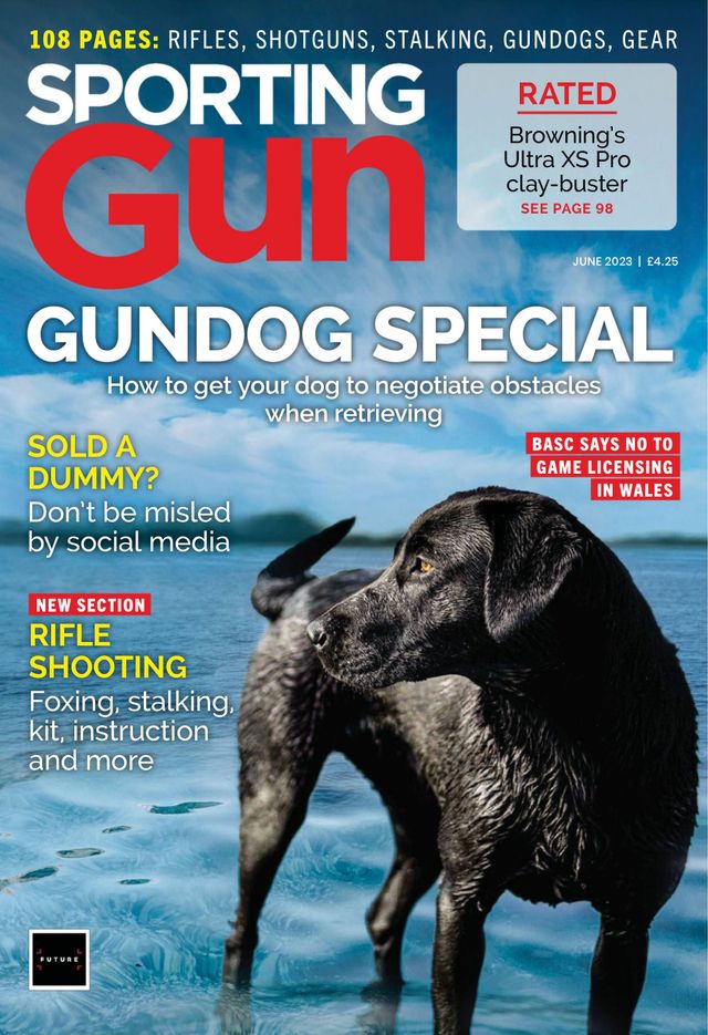 Sporting Gun