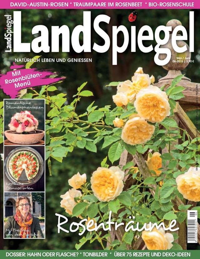 LandSpiegel