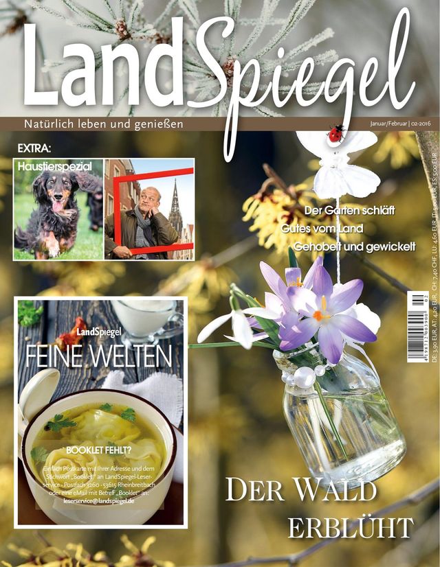 LandSpiegel