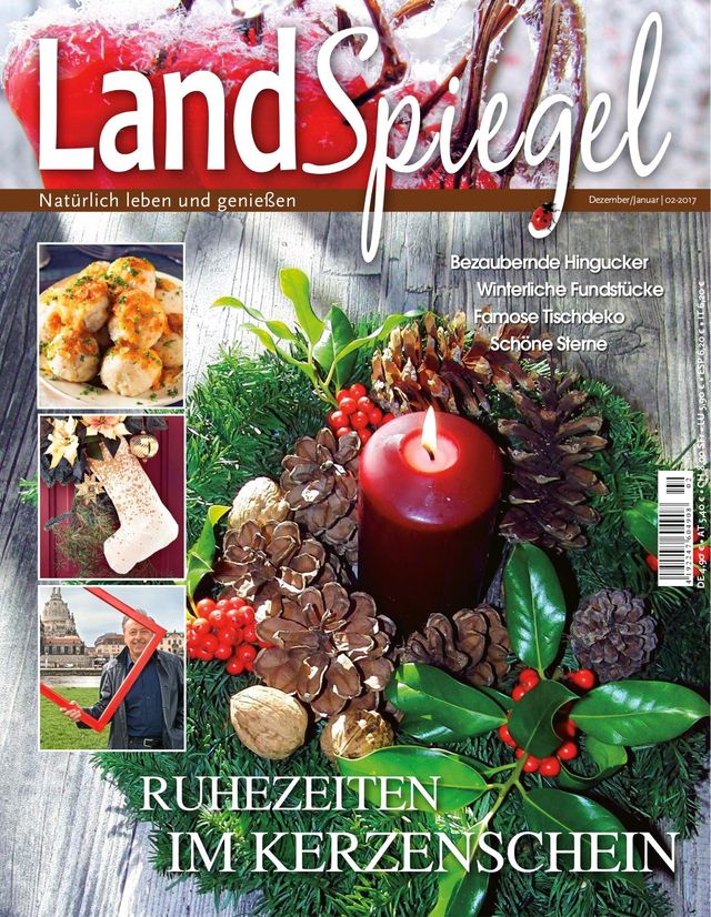 LandSpiegel