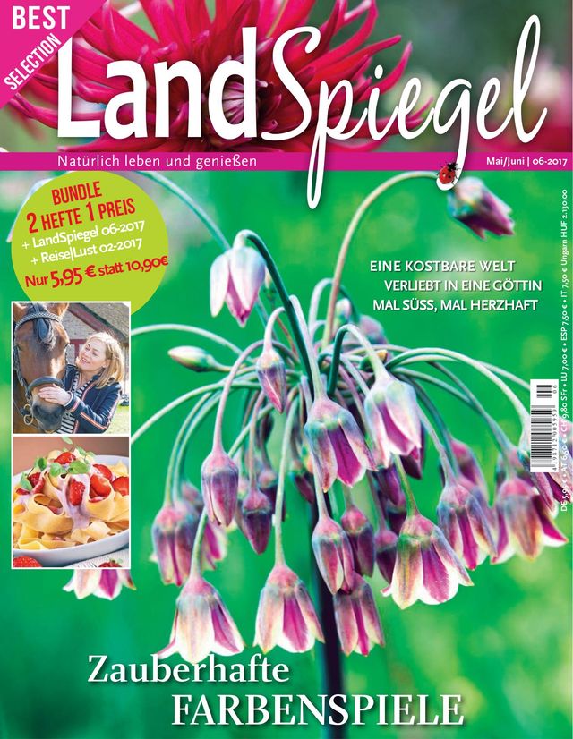 LandSpiegel