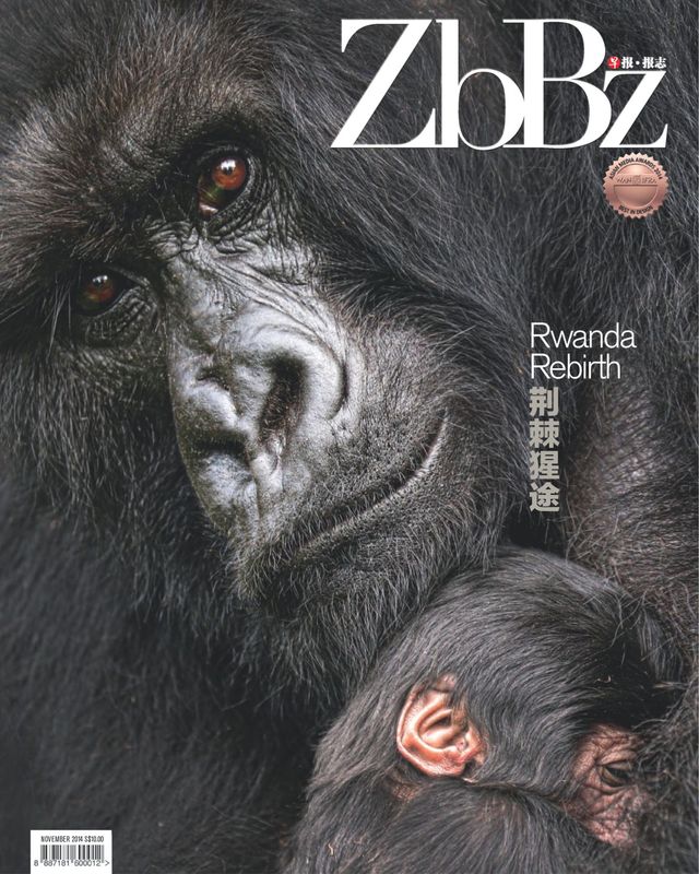 ZBBZ 《早报报志》