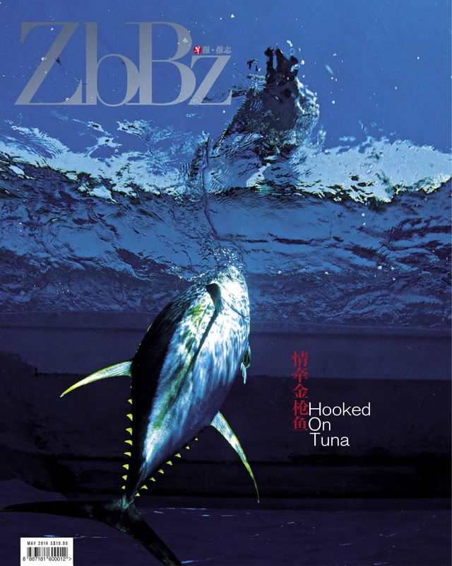 ZBBZ 《早报报志》