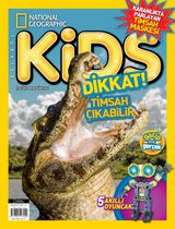 Ocak 2016