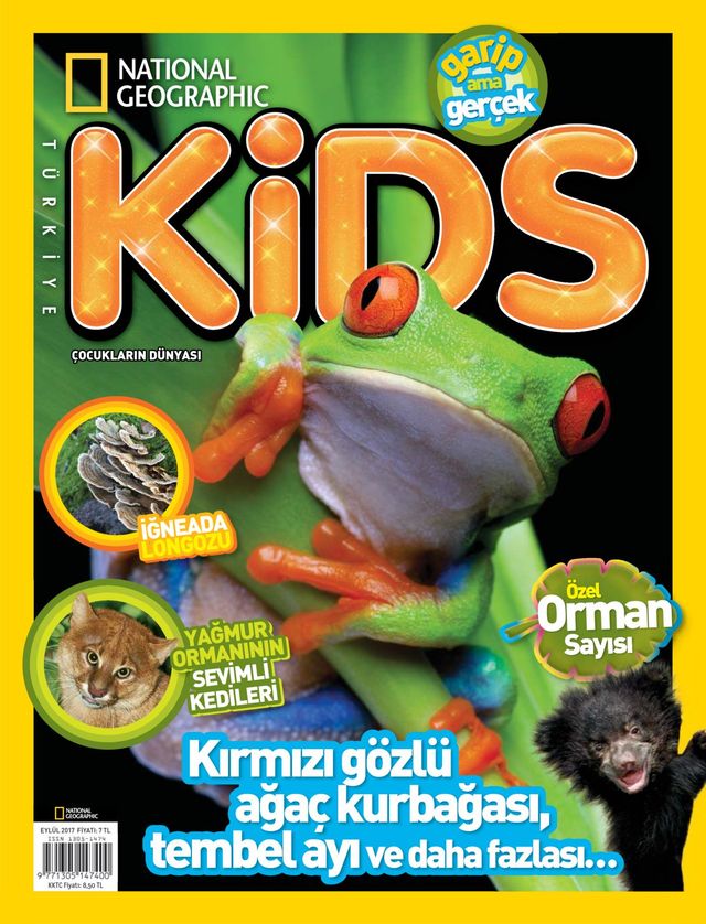 NG Kids Türkiye