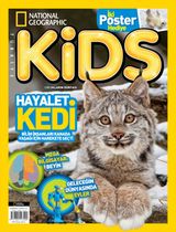 Kasım 2017