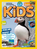 Mart 2018