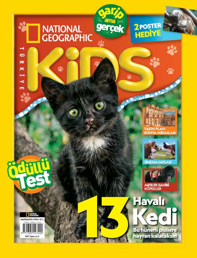 NG Kids Türkiye