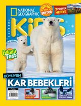 Ocak 2020