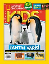 Şubat 2020