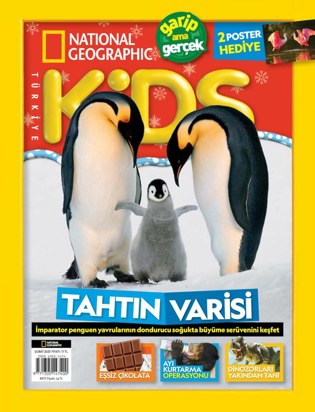 NG Kids Türkiye