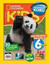 Nisan 2020