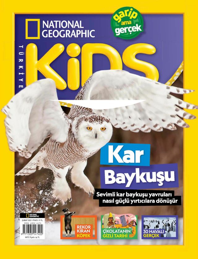 NG Kids Türkiye