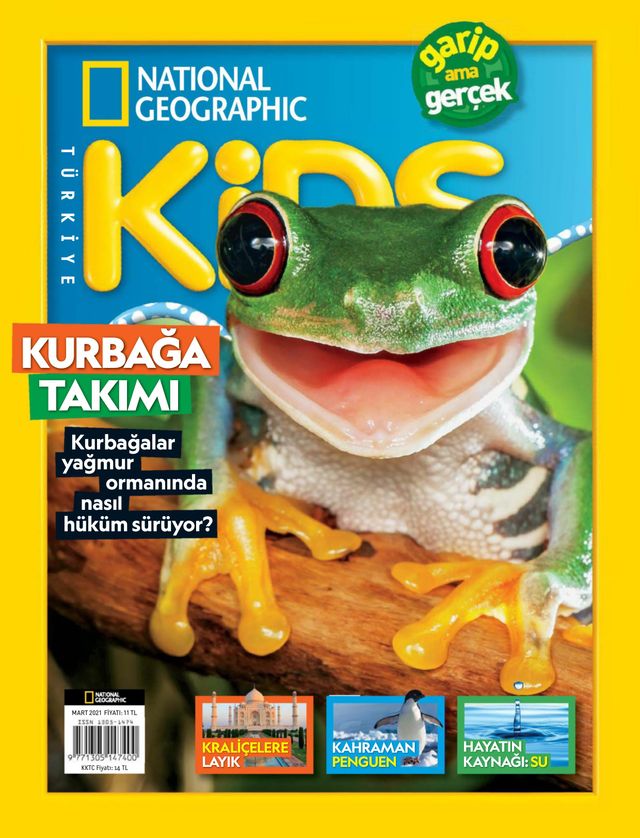 NG Kids Türkiye