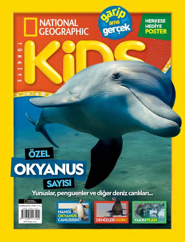 NG Kids Türkiye