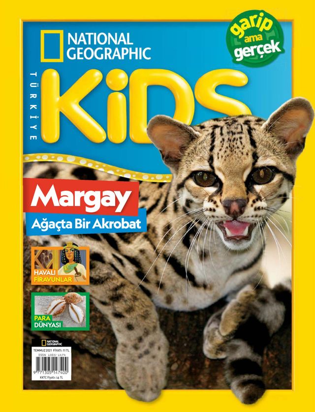 NG Kids Türkiye