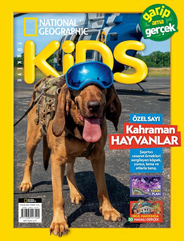 NG Kids Türkiye