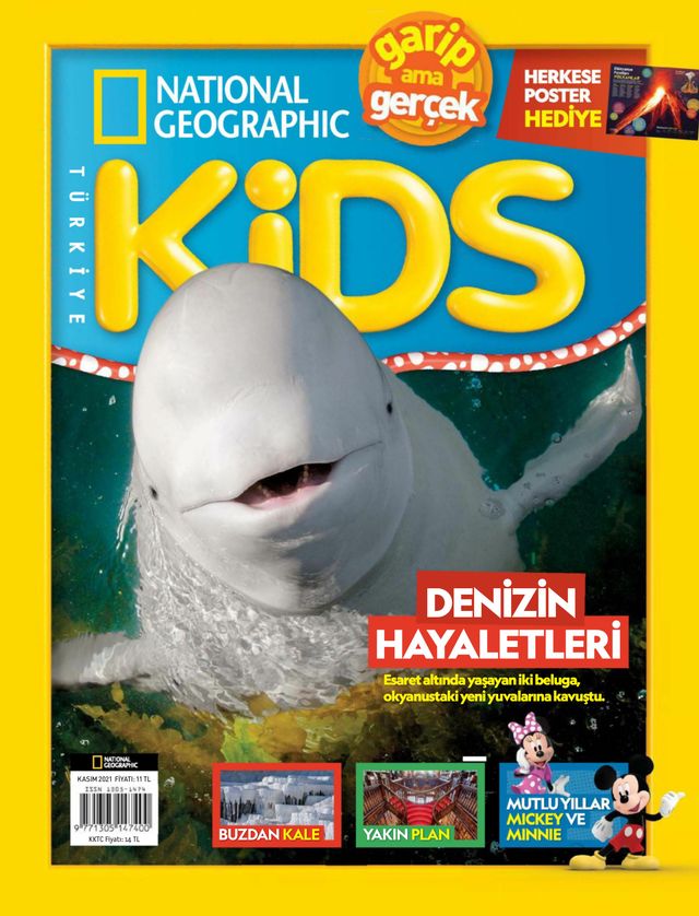 NG Kids Türkiye