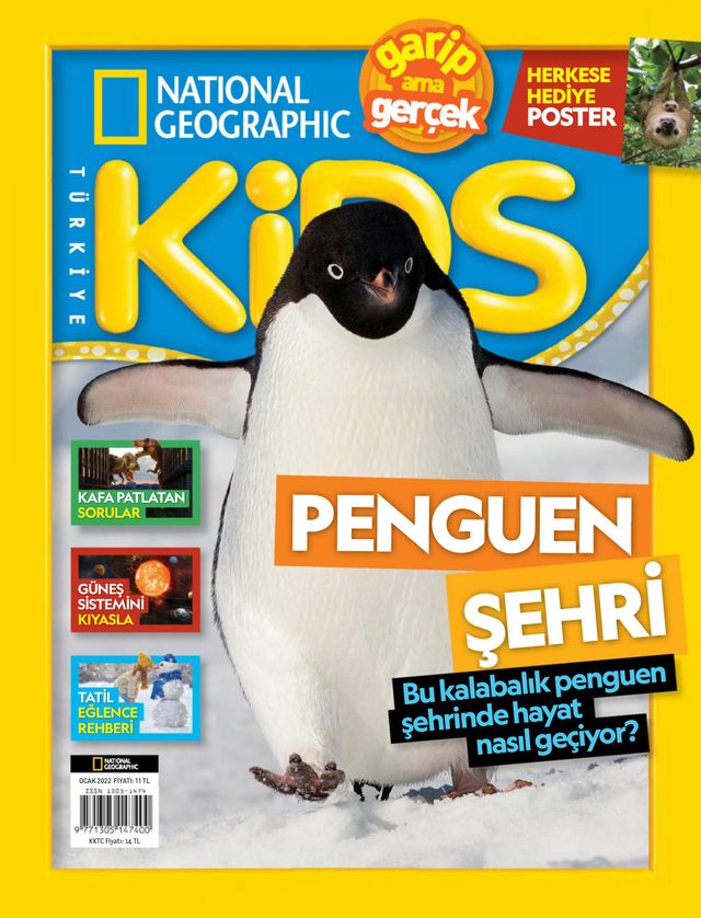 NG Kids Türkiye