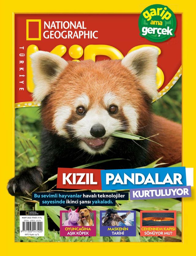 NG Kids Türkiye