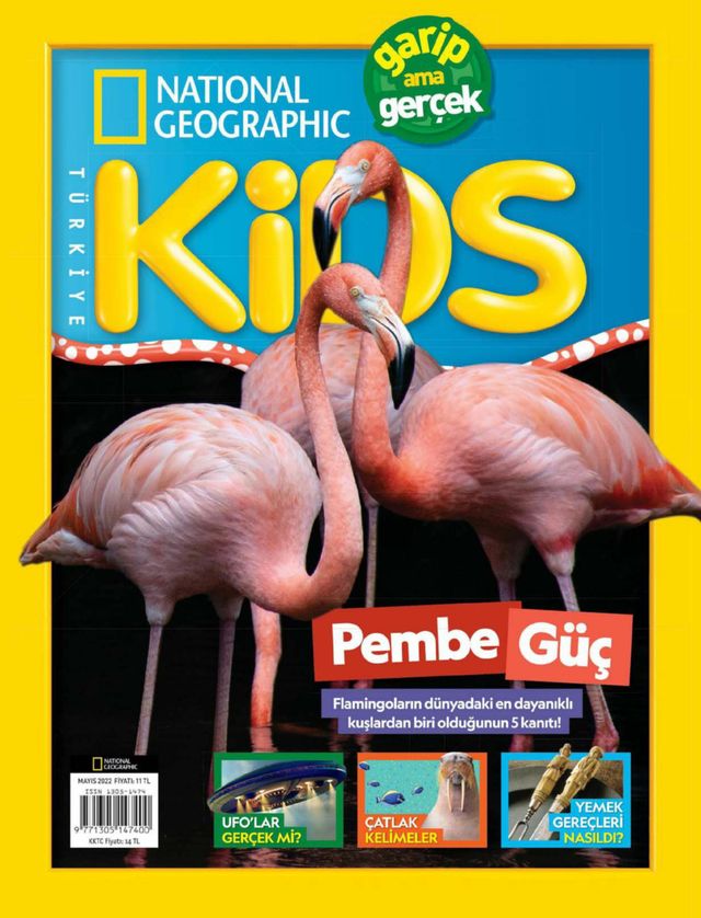 NG Kids Türkiye