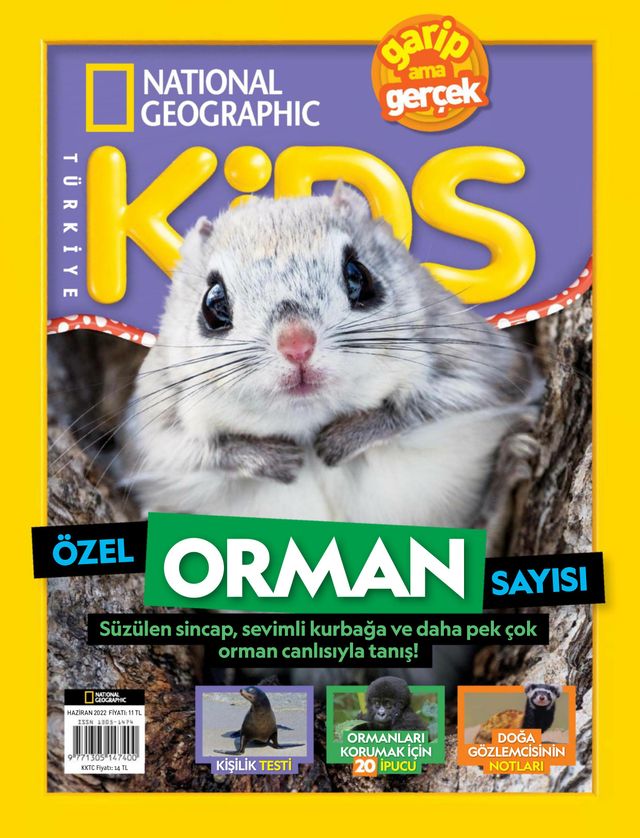 NG Kids Türkiye