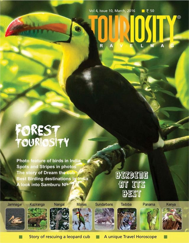 Touriosity Travelmag