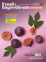 Food & Ingredients International