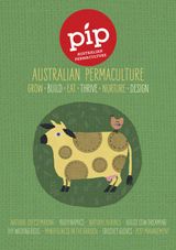 Issue 11