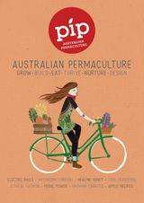 Issue 13