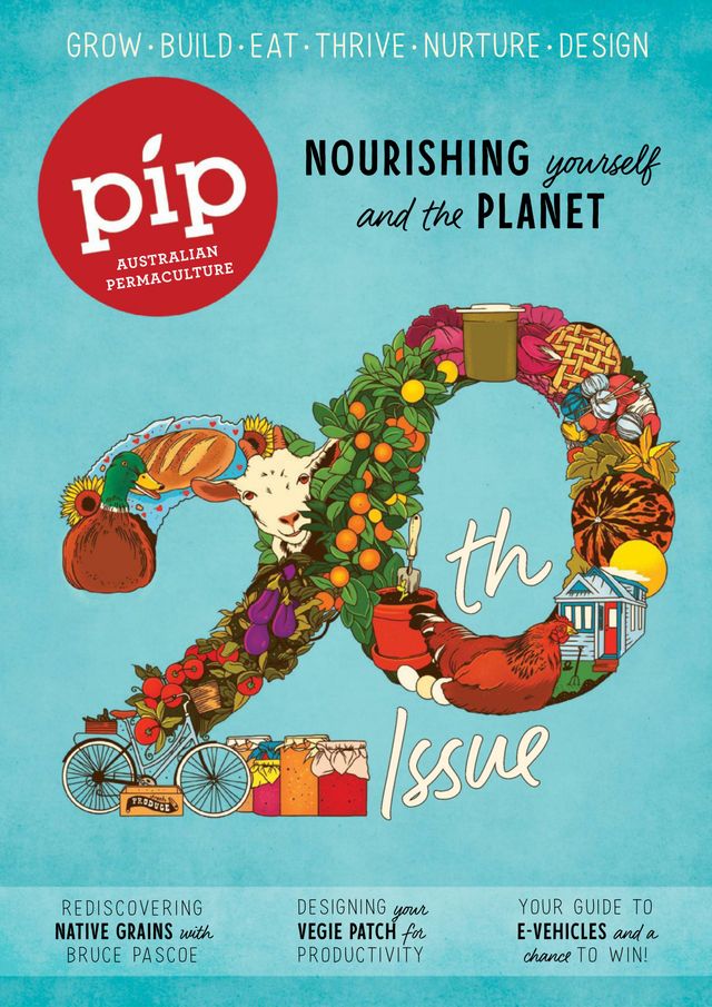 Pip Magazine
